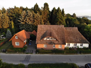 Fewo Torgau und Ferienhaus Boddenhus in Middelhagen